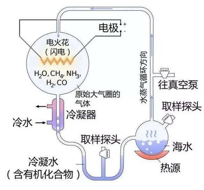 一口氣搞懂生命的起源 從混沌氣體到生命搖籃